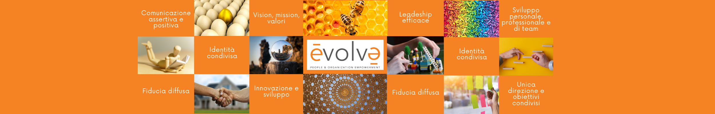 Logo EVOLVE SOLUTIONS SRL